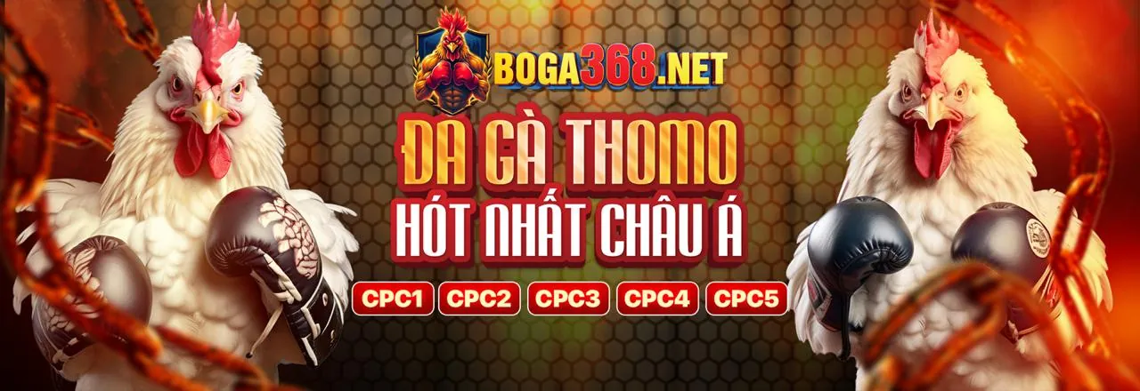 Cá cược thể thao tại ok365m